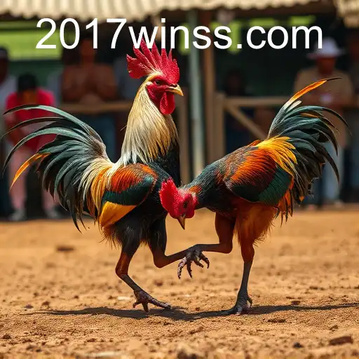 The Controversial World of Rinha de Galos: Exploring the Legacy and Impact of 2017win.com